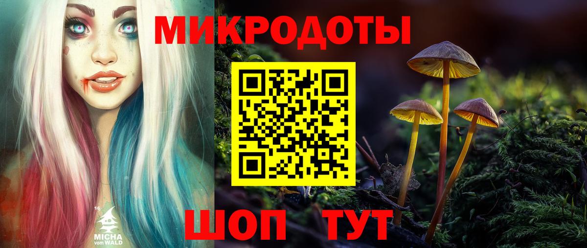 Псилоцибиновые грибы мухоморы Гулькевичи