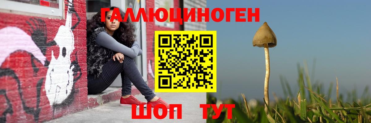 Гулькевичи  Галлюциногенные грибы Psilocybine cubensis  Галлюциногенные грибы мицелий  где купить наркоту  Вход с VPN 